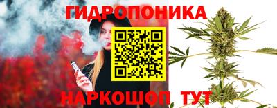 спиды Ефремов
