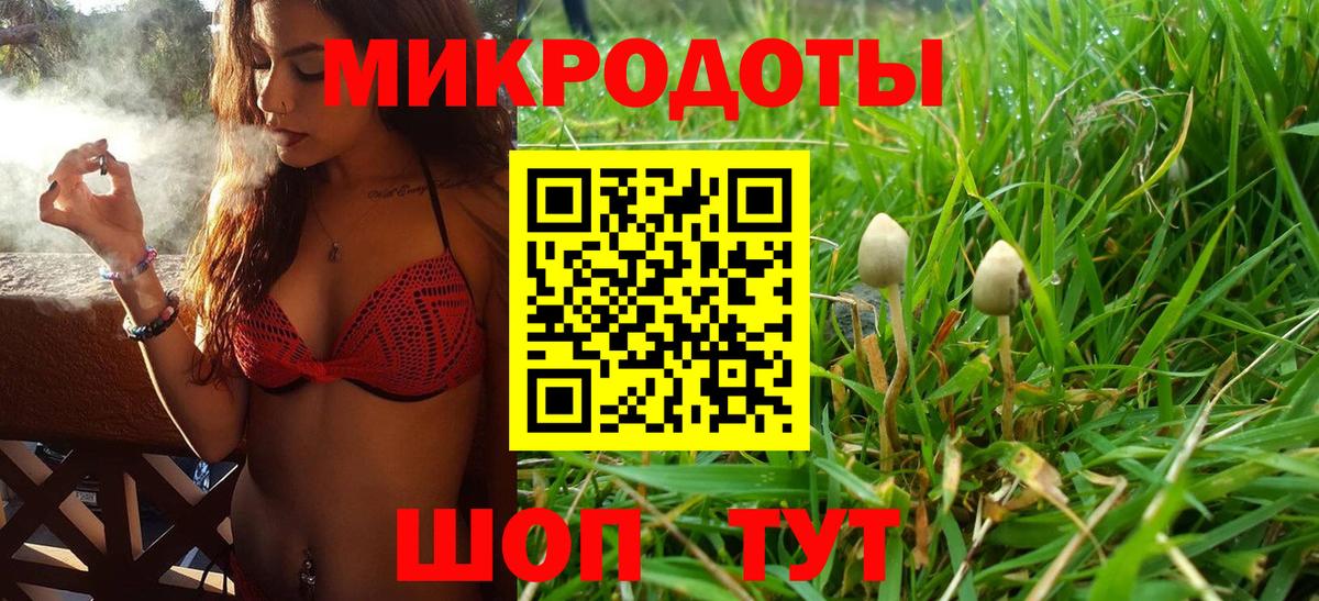 Псилоцибиновые грибы GOLDEN TEACHER Орск
