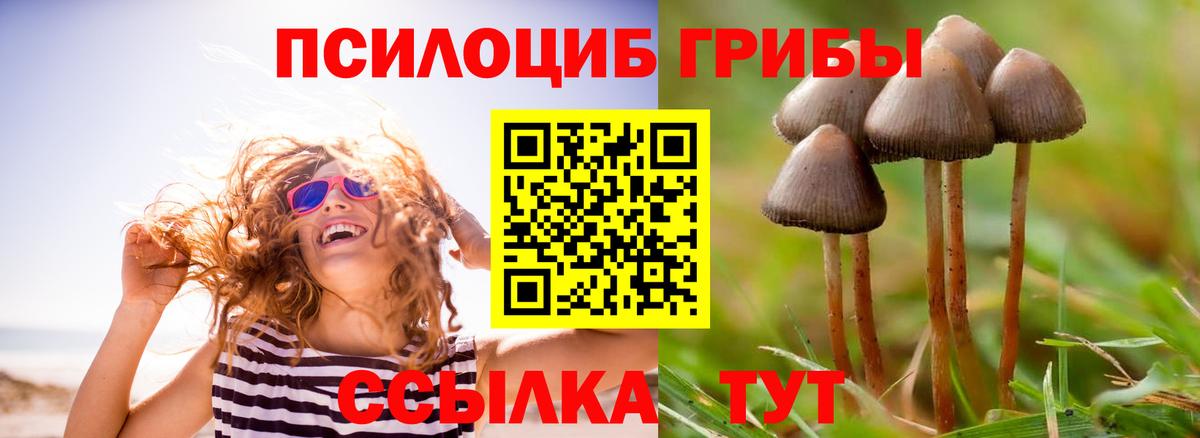 где купить наркоту  Вход с VPN  Орск  Галлюциногенные грибы ЛСД 